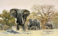 象の群れとバオバブの木